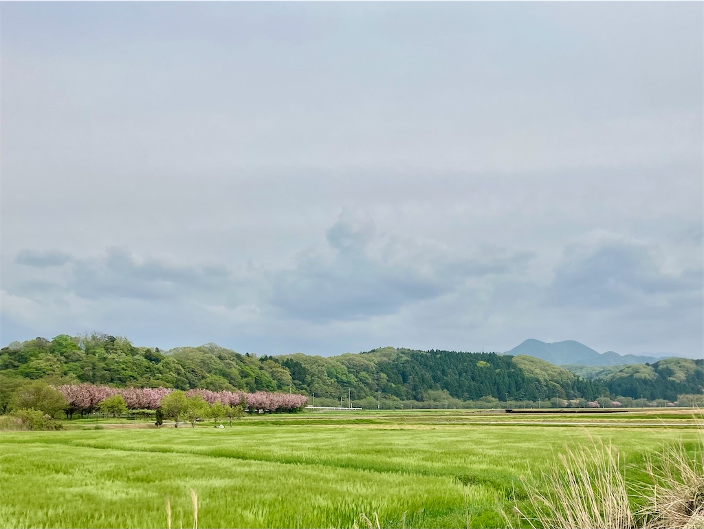 f:id:akiko-u:20250425212033j:image