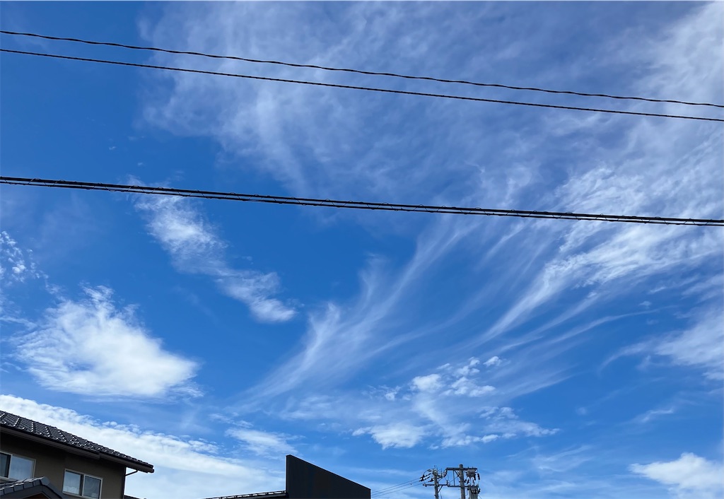 f:id:akiko-u:20250718153211j:image f:id:akiko-u:20250718153211j:image