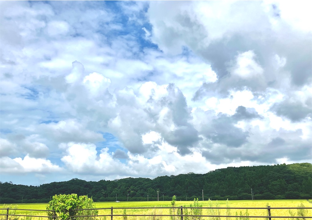 f:id:akiko-u:20250815160032j:image