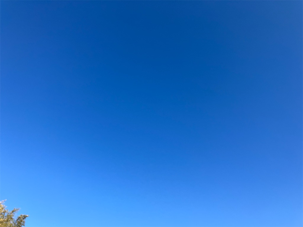 f:id:akiko-u:20260221173142j:image f:id:akiko-u:20260221173142j:image