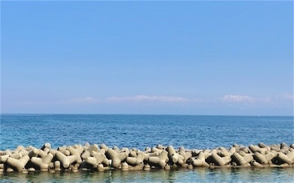f:id:akiko-u:20260321174305j:image f:id:akiko-u:20260321174305j:image
