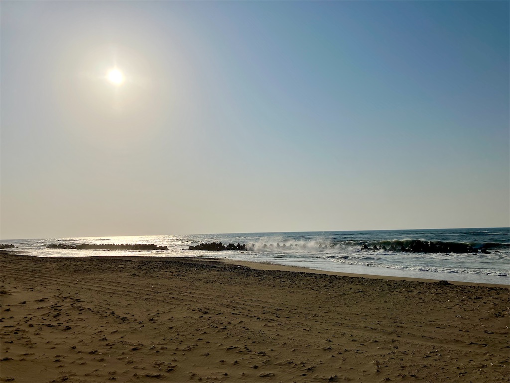 f:id:akiko-u:20260321174619j:image f:id:akiko-u:20260321174619j:image