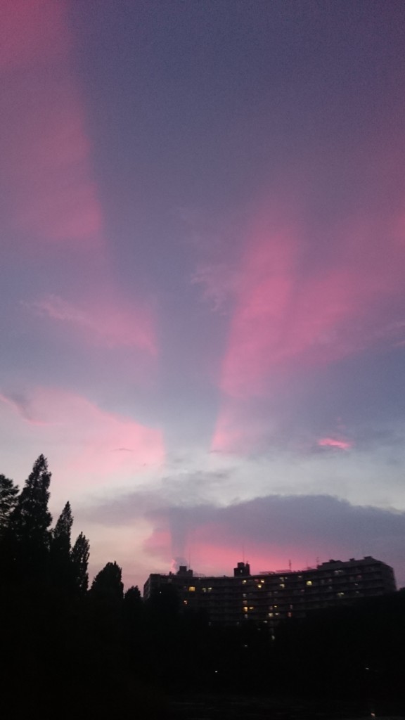 f:id:akikologue:20180716191233j:plain f:id:akikologue:20180716191233j:plain