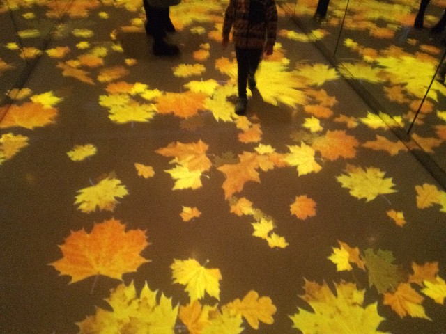 f:id:akikotkg318:20171228233644j:image f:id:akikotkg318:20171228233644j:image