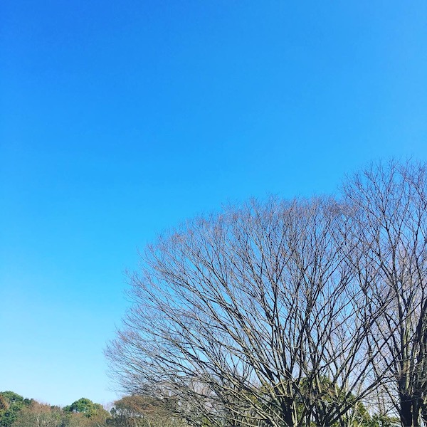 f:id:akikoyoga:20190217200245j:plain f:id:akikoyoga:20190217200245j:plain