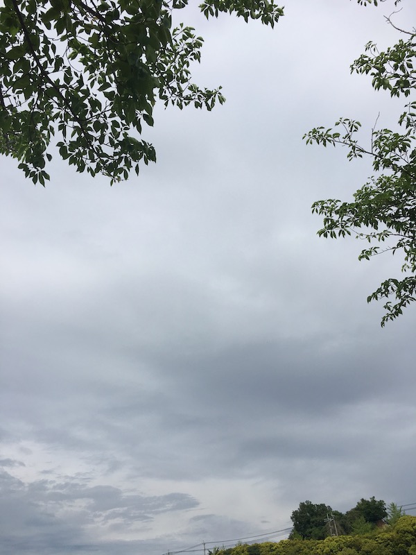 f:id:akikoyoga:20190528133607j:plain