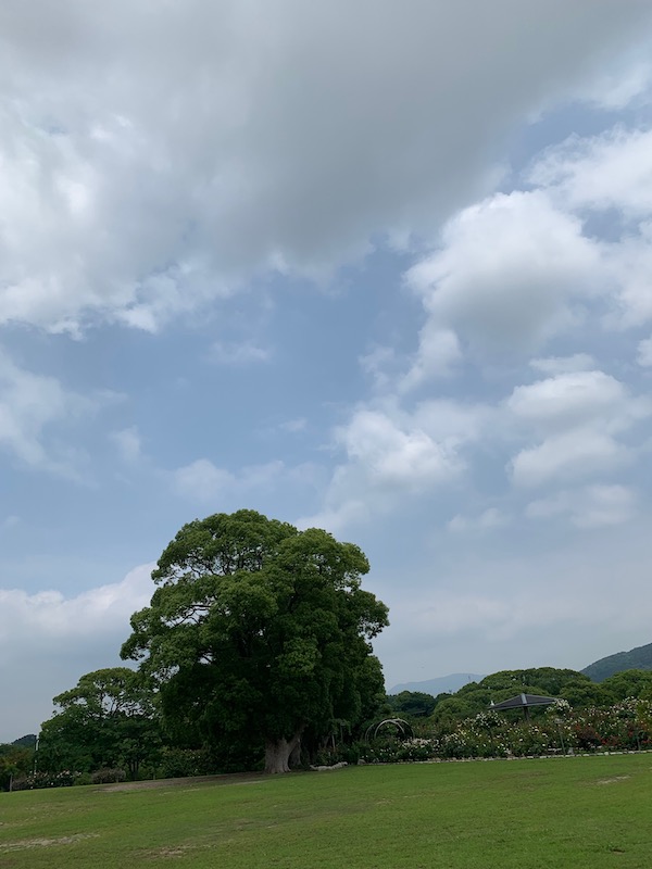 f:id:akikoyoga:20190708001051j:plain