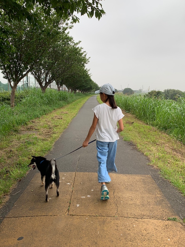 f:id:akikoyoga:20190825172056j:plain f:id:akikoyoga:20190825172056j:plain