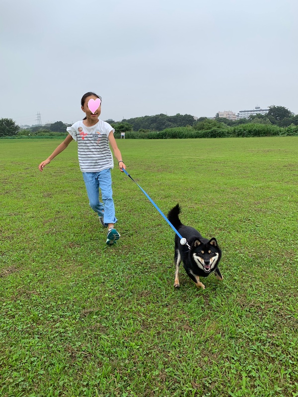 f:id:akikoyoga:20190825172204j:plain f:id:akikoyoga:20190825172204j:plain