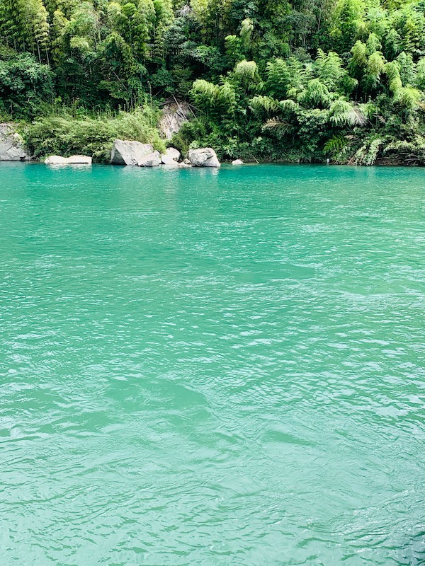 f:id:akikoyoga:20190902165837j:plain f:id:akikoyoga:20190902165837j:plain