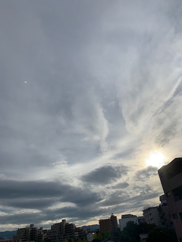 f:id:akikoyoga:20190903001302j:plain f:id:akikoyoga:20190903001302j:plain
