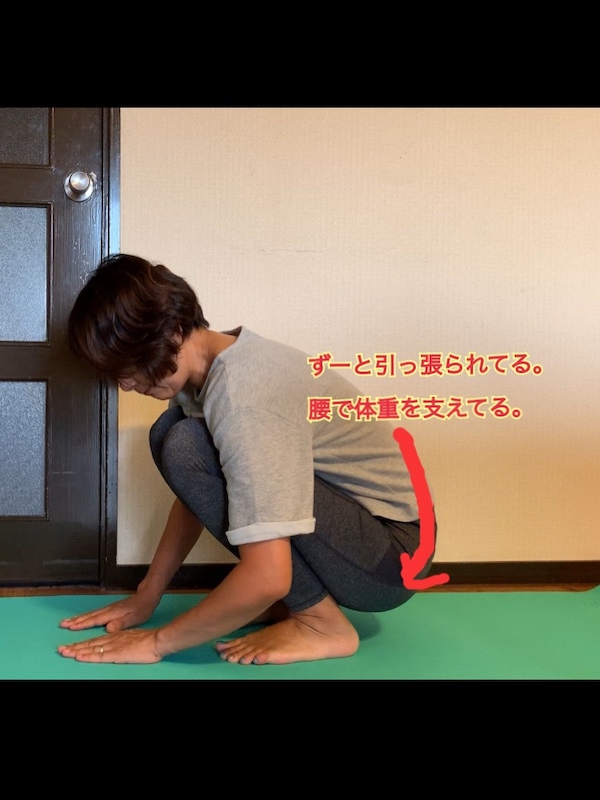 f:id:akikoyoga:20190909224322j:plain f:id:akikoyoga:20190909224322j:plain