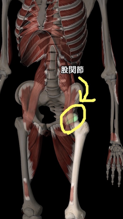 f:id:akikoyoga:20190922233807j:plain
