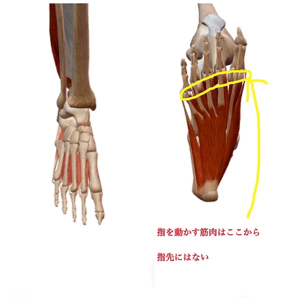 f:id:akikoyoga:20200715001859j:plain