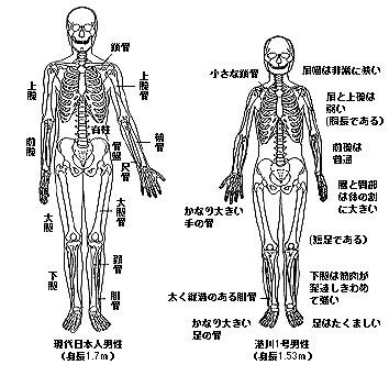 f:id:akikusah:20171105204855g:plain