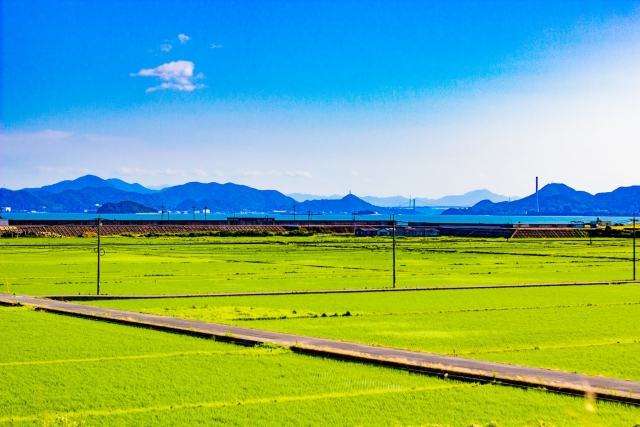 f:id:akilog49:20191006115150j:plain f:id:akilog49:20191006115150j:plain