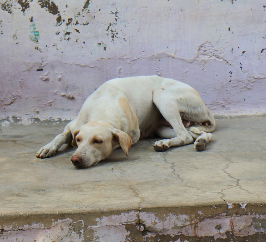 f:id:akilog49:20191014175123j:plain f:id:akilog49:20191014175123j:plain