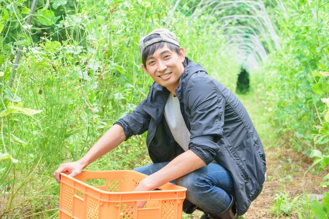 f:id:akilog49:20200418064048j:plain f:id:akilog49:20200418064048j:plain