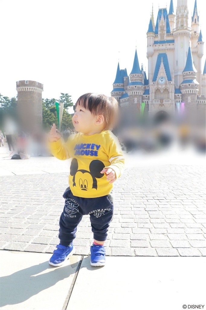 f:id:akimaam:20210104100601j:image