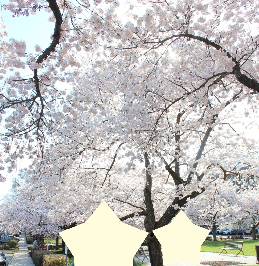 f:id:akimeimilk:20180414053514j:plain