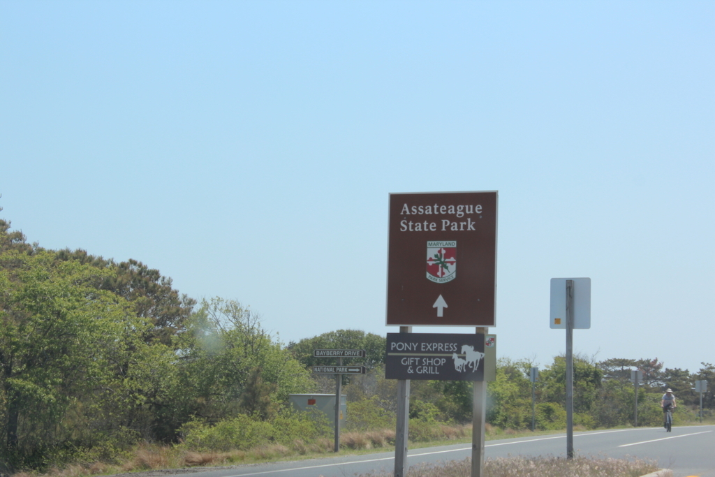 f:id:akimeimilk:20180515021927j:plain f:id:akimeimilk:20180515021927j:plain