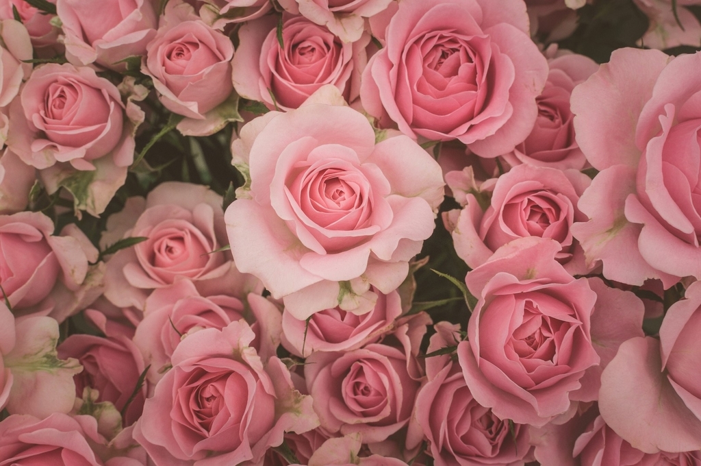 f:id:akimiotann:20190207002844j:plain f:id:akimiotann:20190207002844j:plain