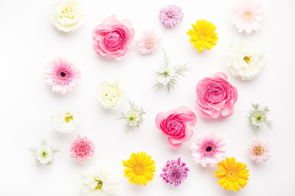 f:id:akimiotann:20190207003142j:plain