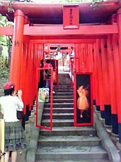 f:id:akimirakuru:20081102123312j:image f:id:akimirakuru:20081102123312j:image