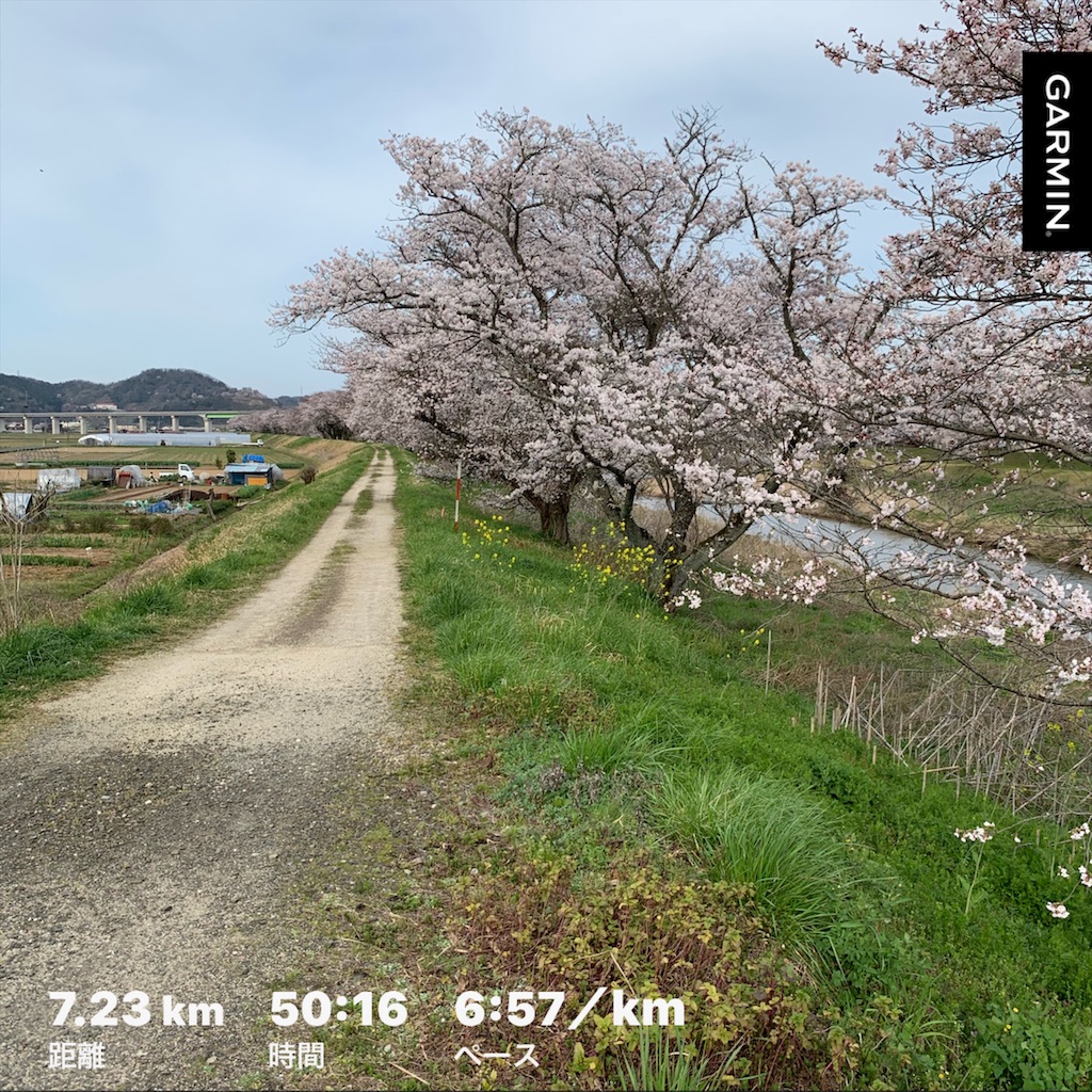 f:id:akimo9133:20200330212253j:image f:id:akimo9133:20200330212253j:image