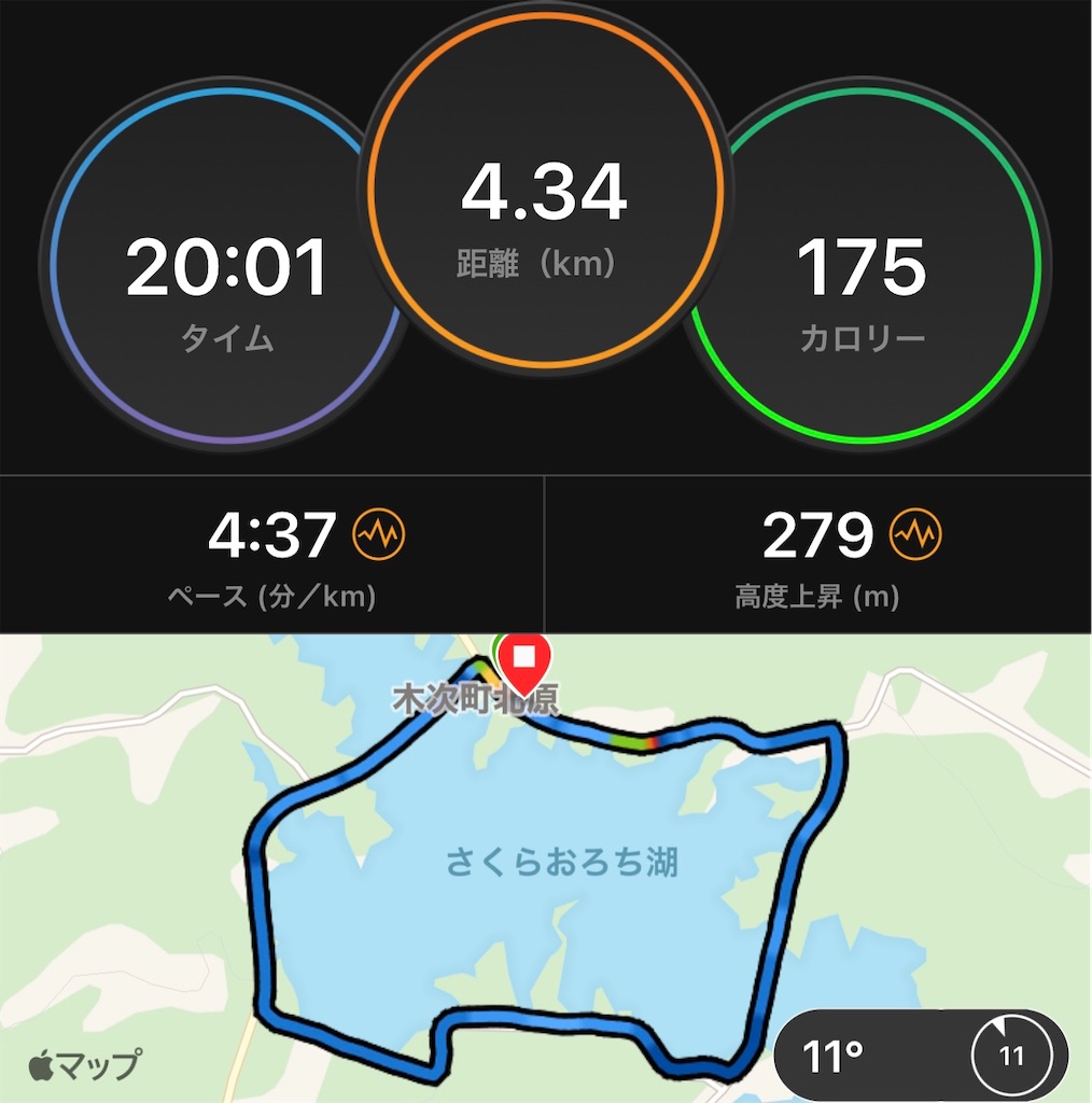f:id:akimo9133:20201104211325j:image f:id:akimo9133:20201104211325j:image