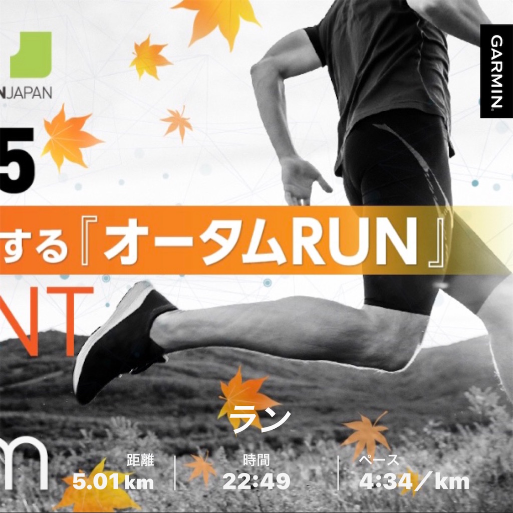 f:id:akimo9133:20201115200608j:image f:id:akimo9133:20201115200608j:image
