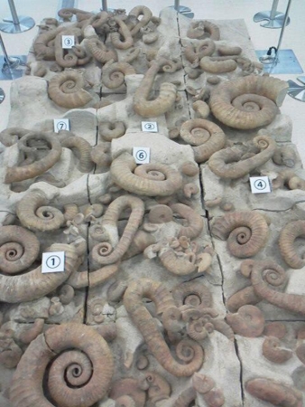 f:id:akinakasyou:20141222001915j:image f:id:akinakasyou:20141222001915j:image