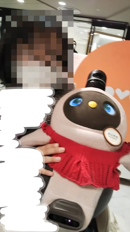 f:id:akineco:20210204123649j:plain