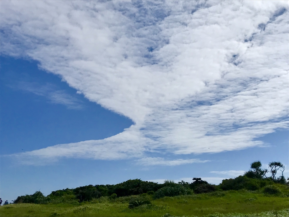 f:id:akino33:20190913235713j:plain f:id:akino33:20190913235713j:plain
