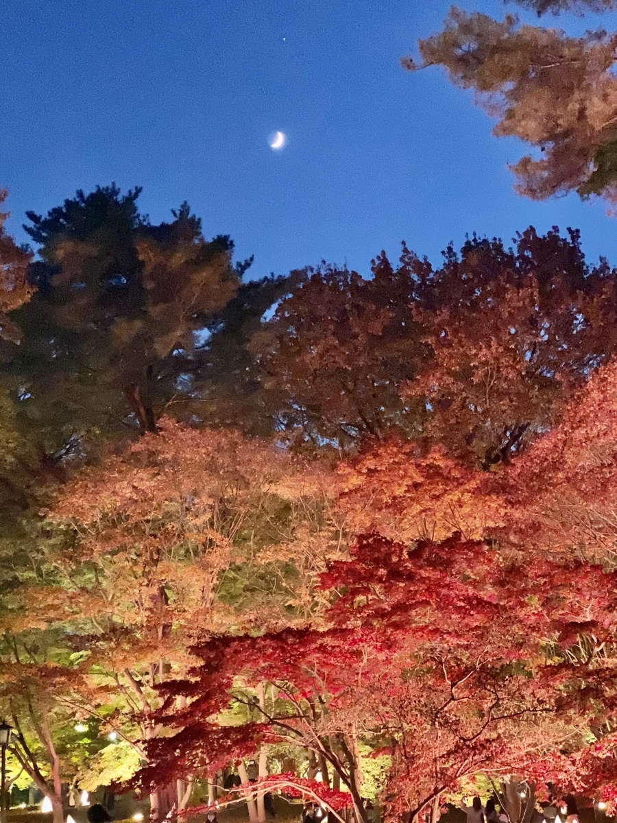 f:id:akino33:20201120112217j:plain