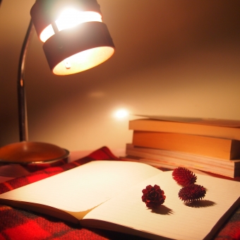 f:id:akino33:20201124072238j:plain