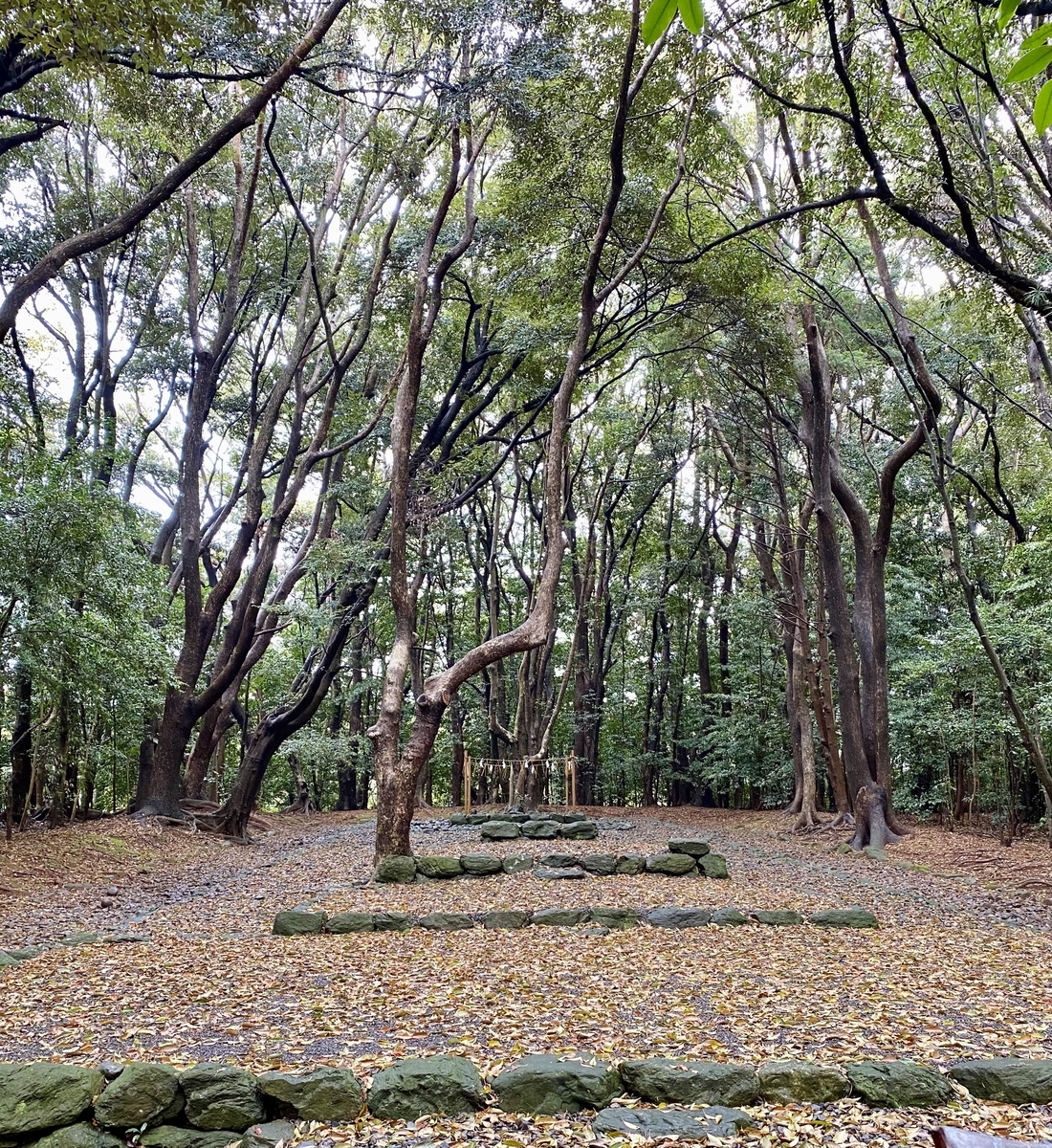 f:id:akino33:20210411231545j:plain