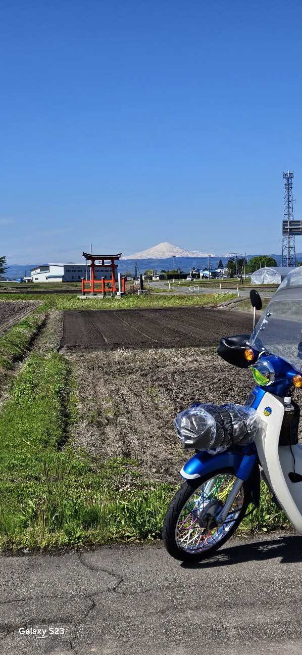 f:id:akinomono1:20260611153605j:image