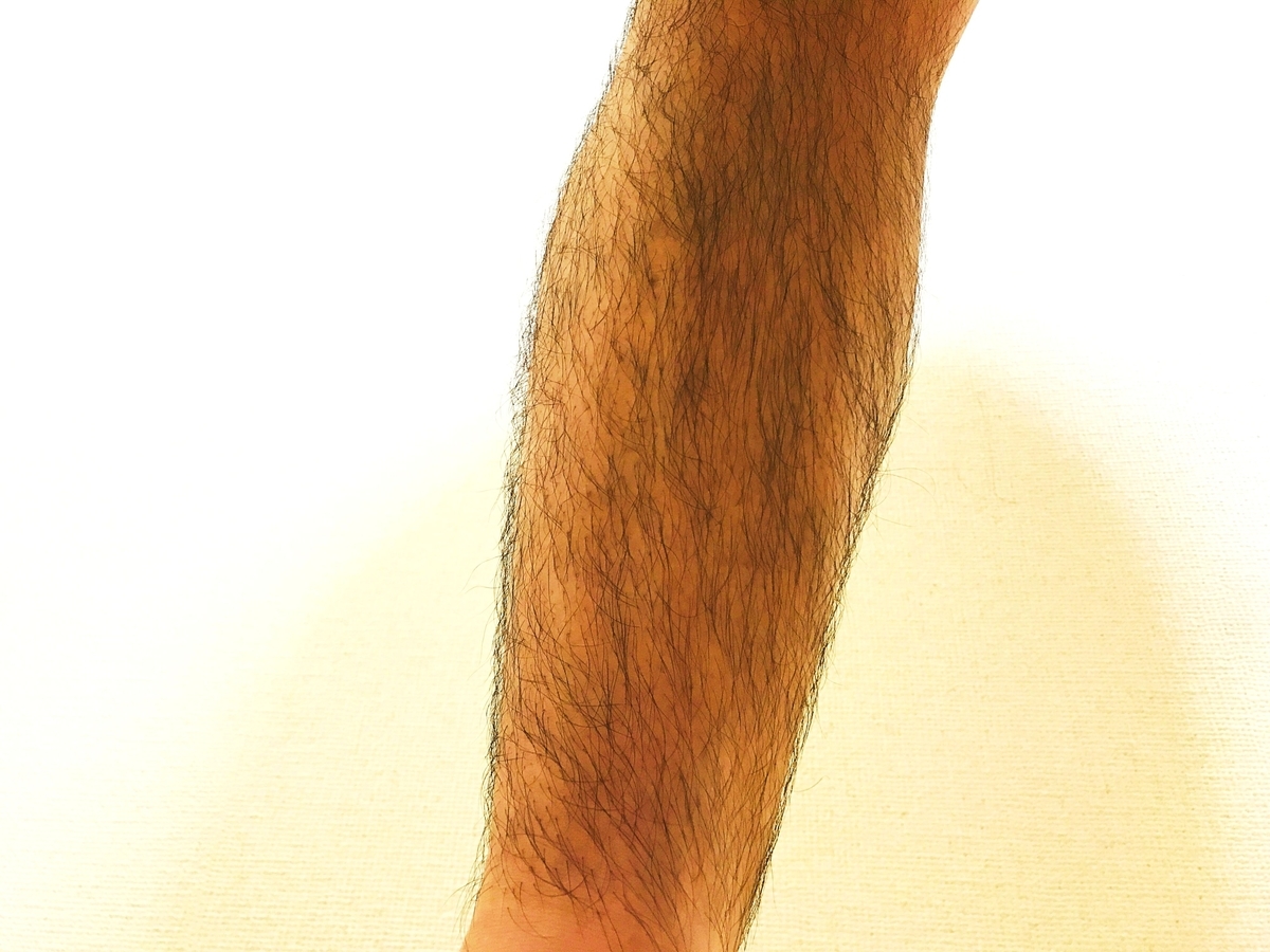 f:id:akinori33:20200508134301j:plain f:id:akinori33:20200508134301j:plain