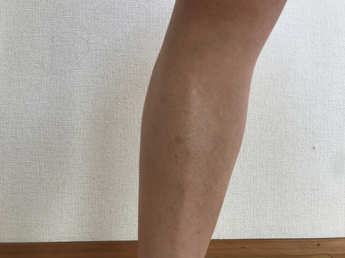 f:id:akinori33:20200508134305j:plain f:id:akinori33:20200508134305j:plain