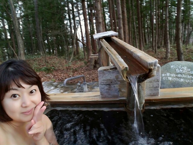 f:id:akinosakura:20161230003036j:image f:id:akinosakura:20161230003036j:image