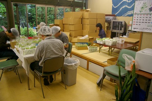 f:id:akinosato:20110512134748j:image