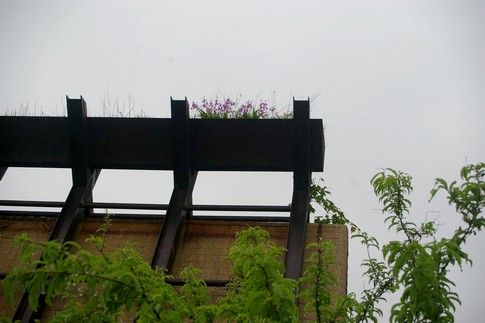f:id:akinosato:20110512143223j:image