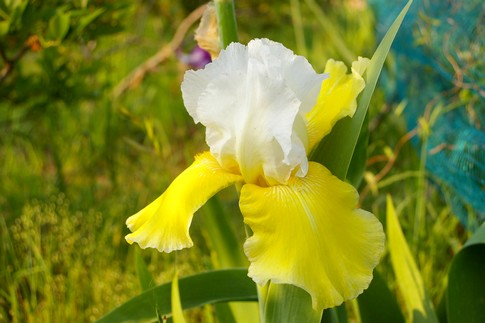 f:id:akinosato:20110517171624j:image f:id:akinosato:20110517171624j:image