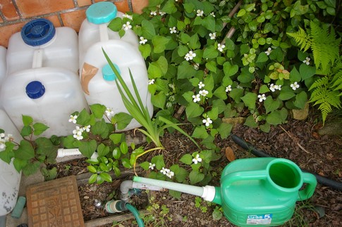 f:id:akinosato:20110607131613j:image