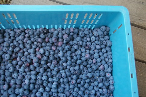 f:id:akinosato:20110705114852j:image f:id:akinosato:20110705114852j:image