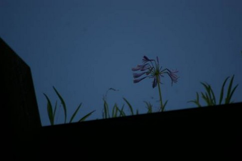 f:id:akinosato:20110705154430j:image f:id:akinosato:20110705154430j:image