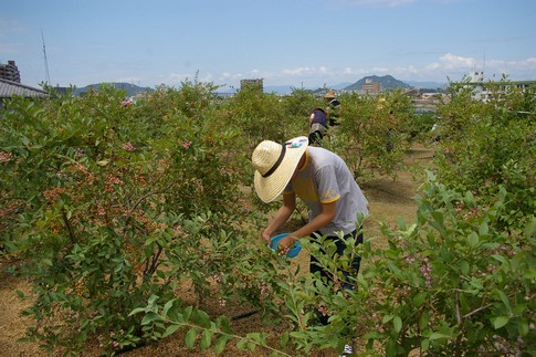 f:id:akinosato:20110722111402j:image f:id:akinosato:20110722111402j:image