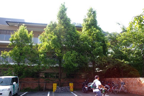 f:id:akinosato:20110729090930j:image f:id:akinosato:20110729090930j:image