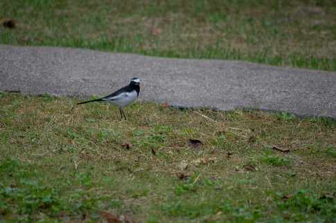 f:id:akinosato:20111013083219j:image f:id:akinosato:20111013083219j:image